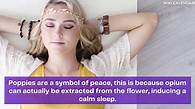 Video thumbnail for August 2025 Calendar - Printable Templates & More