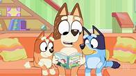 Video thumbnail for Bluey Season 3 (International)