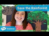 Video thumbnail for Design Your Own Save the Rainforest Poster