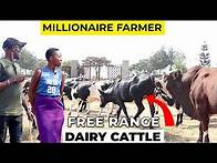 Video thumbnail for How to manage a 50 Arce Livestock Farm In Uganda | part 1