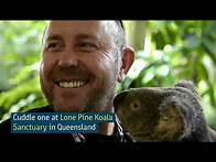 Video thumbnail for Top 5 Cutest Animals| Nature & Wildlife | Tourism Australia