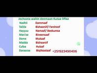Video thumbnail for Afaan Oromoo Jechoota waliin deemaan Kutaa 5ffaa #study Afaan Oromoo#Amharic English letters