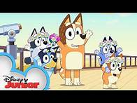 Video thumbnail for Bluey "The Sign" Official Trailer | @disneyjr x @BlueyOfficialChannel