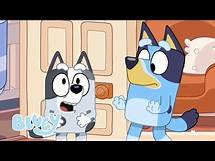 Video thumbnail for 🔴LIVE: Full Episodes from Series 1 | Bluey