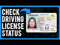 Video thumbnail for How to Check Driving License Status (A Step-by-Step Guide)