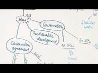 Video thumbnail for AS Biology - Maintaining biodiversity (OCR A Chapters 11.6-8)