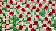 Video thumbnail for Poppies by Jane Weir (AQA) - BBC Bitesize