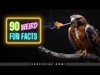 Video thumbnail for 90 Random Facts That Will Blow your Mind! 😲🎉 | Interesting Trivia Facts | Show Reel