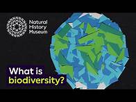 Video thumbnail for What is biodiversity? | Natural History Museum