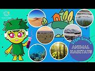 Video thumbnail for Animal Habitats | KS1 Science | STEM and Beyond