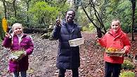 Video thumbnail for KS2 Geography: Forests - deciduous and coniferous woodland and biodiversity (Zoom In, Zoom Out)
