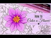 Video thumbnail for How to Color a Flower | Adult Coloring Tips and Tricks