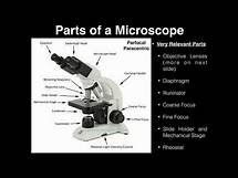 Video thumbnail for Lab Exercise 2: Microscopes and Cell Shapes