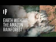 Video thumbnail for What If We Lost The Amazon Rainforest?