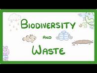 Video thumbnail for GCSE Biology - How Human Waste Reduces Biodiversity - Explained
