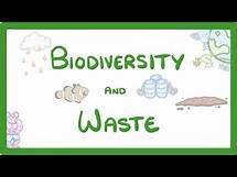 Video thumbnail for GCSE Biology - How Human Waste Reduces Biodiversity - Explained