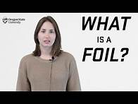 Video thumbnail for "What is a Foil?": A Literary Guide for English Students and Teachers