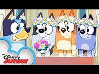 Video thumbnail for Bluey Season 3 Episode 49 "The Sign" Episode Clip | @disneyjr x @BlueyOfficialChannel