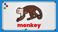 Video thumbnail for Animals Lesson Plan | ESL Lesson Plan Complete With Fun Games And Activities | Games4esl