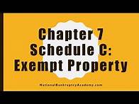 Video thumbnail for Chapter 7 Schedule C Preview, Official Bankruptcy Form 106C