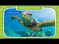 Video thumbnail for Adaptation in Animals class-4