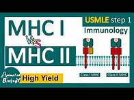 Video thumbnail for MHC class I vs Class II | USMLE step 1 revision | Immunology