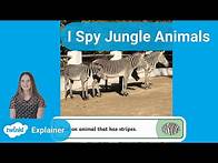 Video thumbnail for Early Years I Spy Jungle Animals Activity