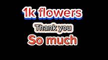 Video thumbnail for Thank You So Much Images – Browse 1,042 Stock Photos, Vectors, and Video