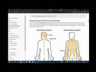 Video thumbnail for APA Citation Part 2: Parenthetical Citations MS Word Tutorial