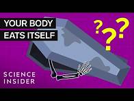Video thumbnail for What Happens To Your Body 100 Years After Death