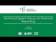 Video thumbnail for Webinar: Monitoring Finance in the Biodiversity Plan: Indicators 18.1, 18.2, D.1, D.2 and D.3