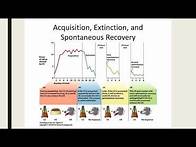 Video thumbnail for Classical Conditioning