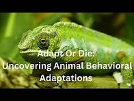 Video thumbnail for Adapt Or Die: Uncovering Animal Behavioral Adaptations