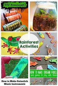 Video thumbnail for Rainforest Activities and Printables