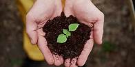 Video thumbnail for 11 Best Growth Mindset Activities for Adults (  Worksheets)
