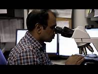 Video thumbnail for Pathology Residency Program | University of Florida Jacksonville