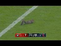 Video thumbnail for 🤣 UGA players were 'terrorized' by a squirrel delay in Georgia-Ole Miss | ESPN College Football