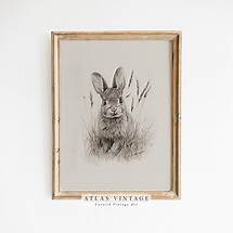 Video thumbnail for Vintage Easter Bunny Print, Country Farmhouse Printable Wall Art, Antique Rabbit Sketch Drawing, Rustic Easter Décor, Digital Download - Etsy