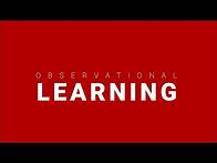 Video thumbnail for Observational Learning Examples in Advertising / Consumer Behavior