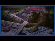 Video thumbnail for Own The Weekend with the Guardian and Observer