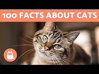 Video thumbnail for 100 FACTS About CATS That May SURPRISE You 🐱🐾
