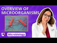 Video thumbnail for Overview of microorganisms: Microbiology for Pre-Med / Nursing Students |​⁠ @leveluprn