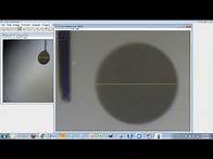 Video thumbnail for ImageJ analysis: Measuring the diameter/length and area of multiple pictures simultaneously