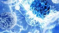 Video thumbnail for Physics