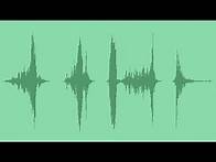 Video thumbnail for Door Squeaky Metal Bulkhead Sound Effects
