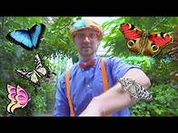 Video thumbnail for Blippi Explores the Pacific Science Center | Educational Videos for Toddlers