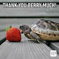 Video thumbnail for 30 Funny Thank-You Memes That Show Your Gratitude
