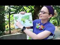 Video thumbnail for Second Grade Habitats: Animals in the Rainforest 2-LS4-1