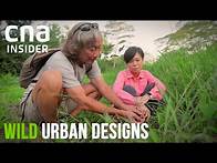 Video thumbnail for Rewilding Singapore With Wilder, More Diverse Habitats | Wild Urban Designs | CNA Documentary