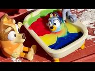 Video thumbnail for Baby Bluey - 1 hour and 30 minutes - Bluey toys Pretend play
